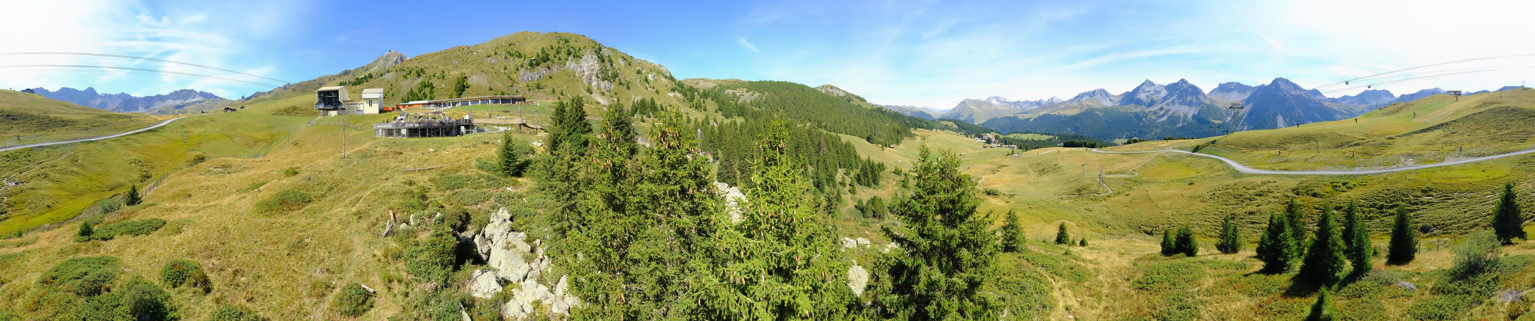 Arosa: Stiftung - Bären