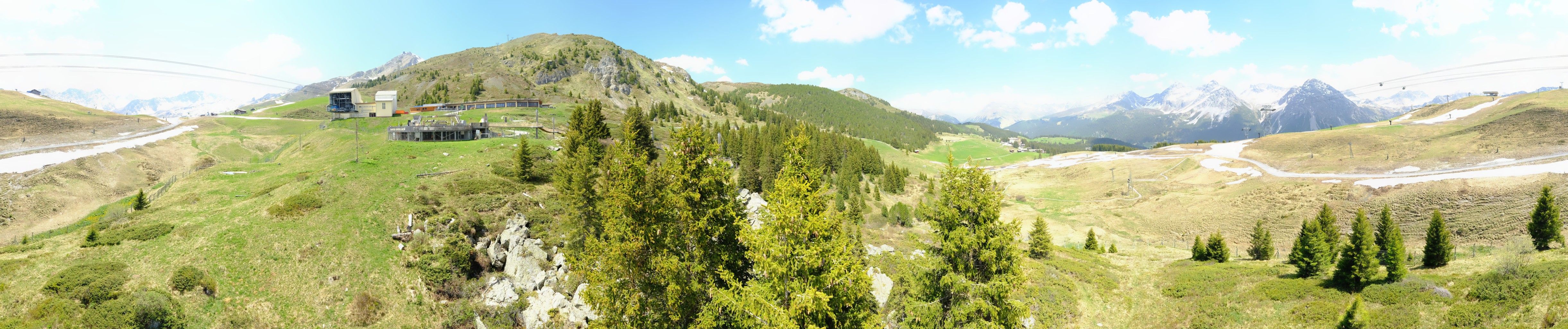 Arosa: Stiftung - Bären