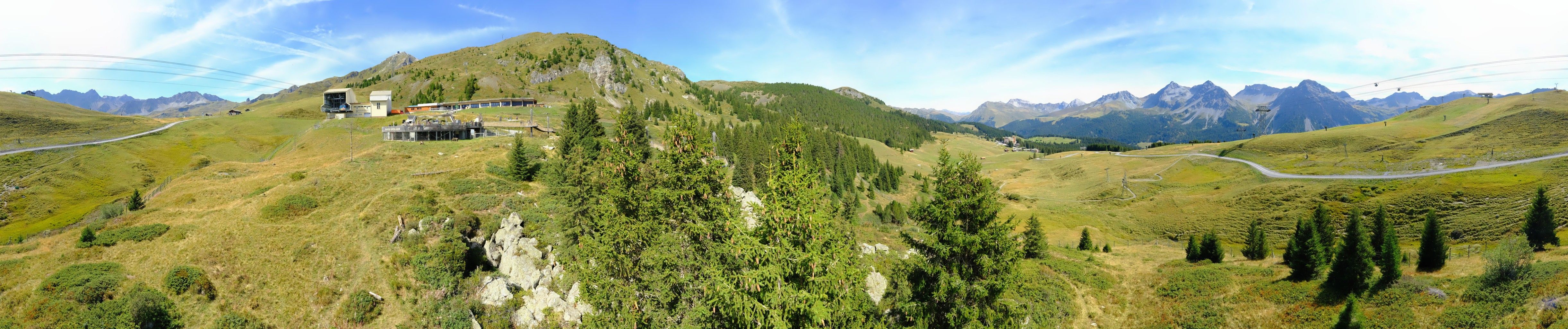 Arosa: Stiftung - Bären