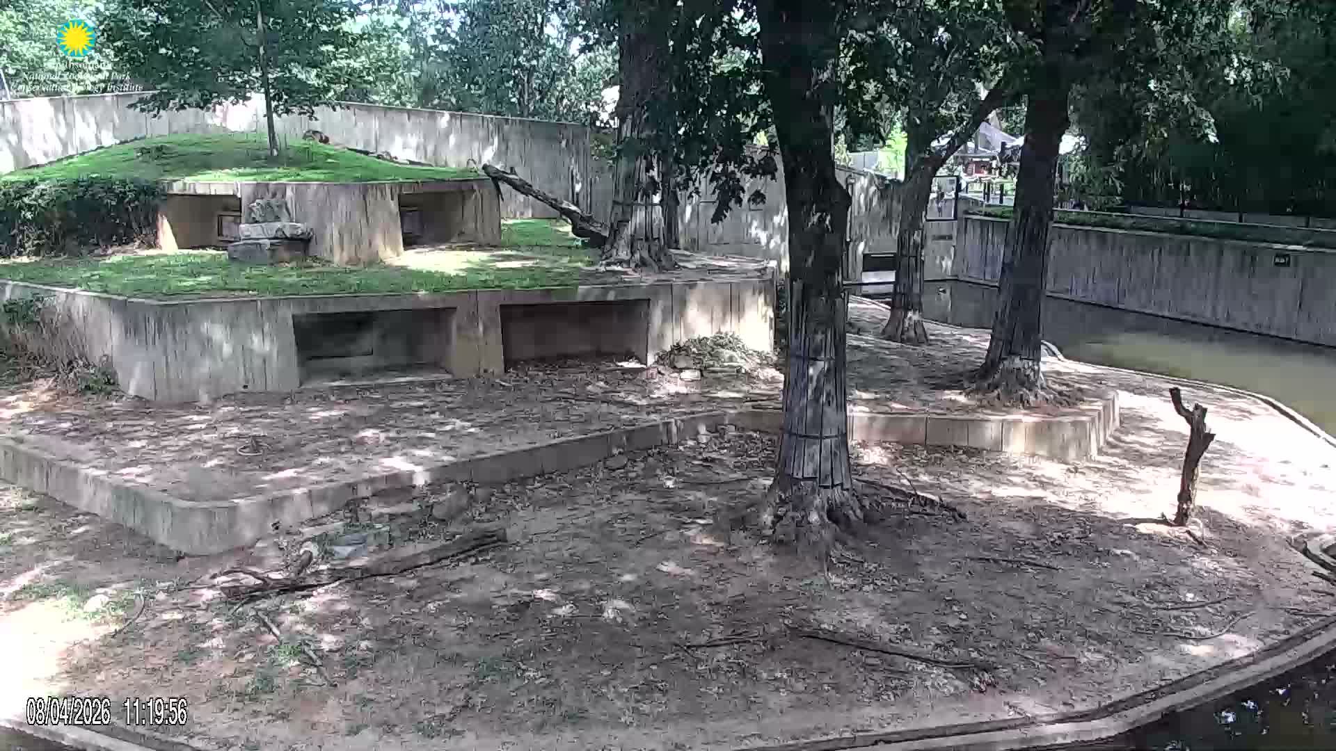 Silver Spring webcam