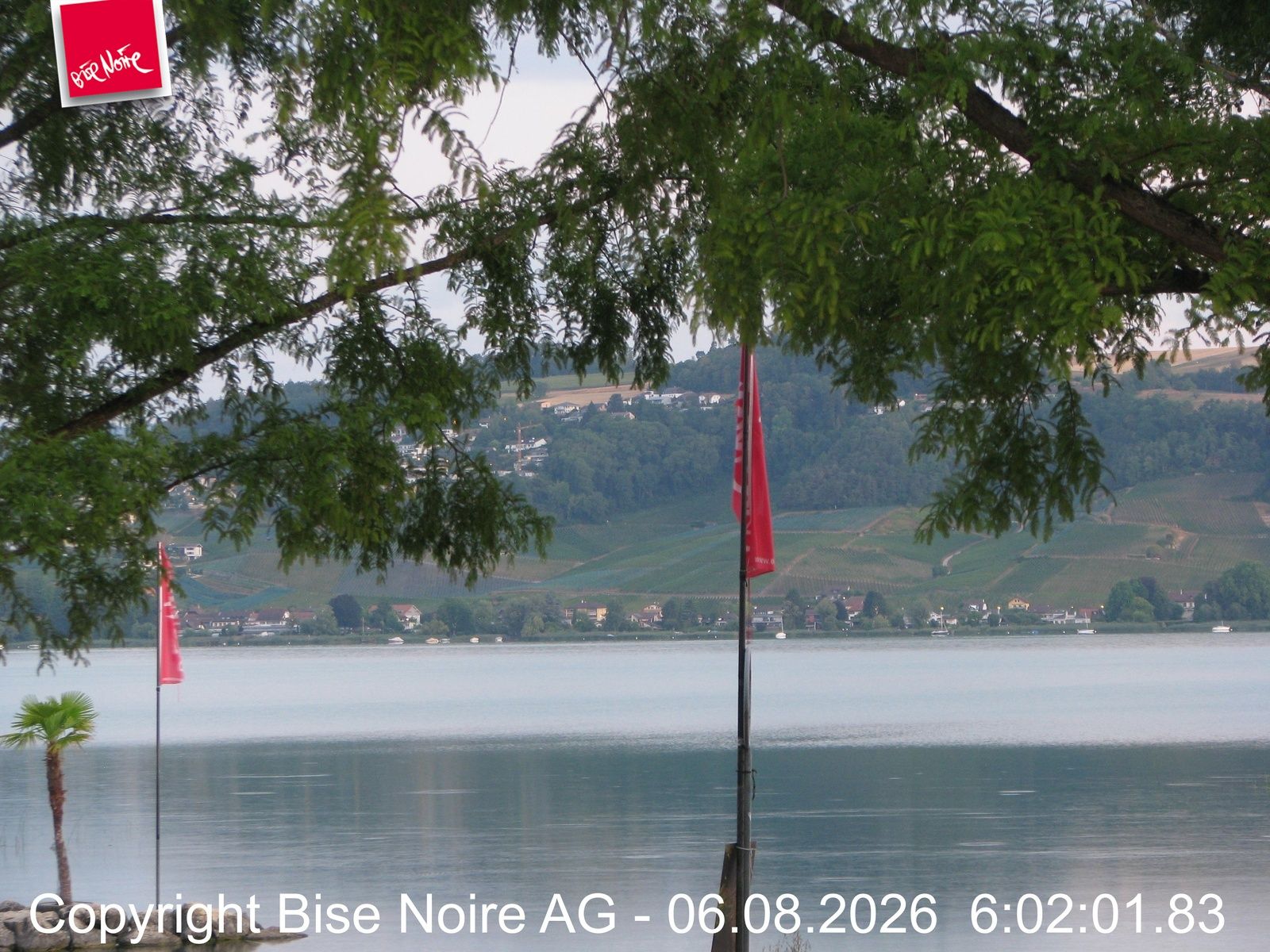 Murten: Lake Murten