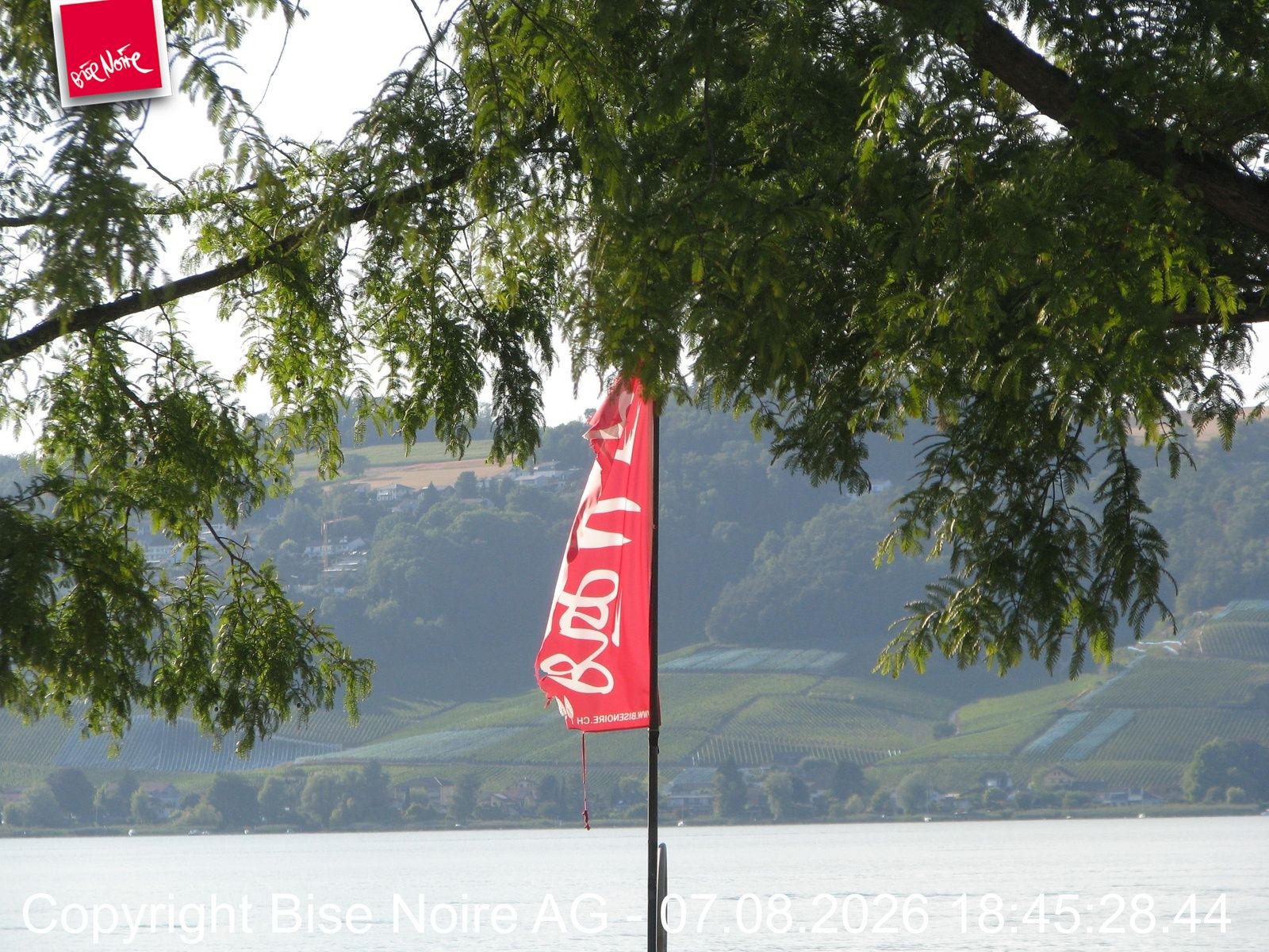 Murten: Lake Murten