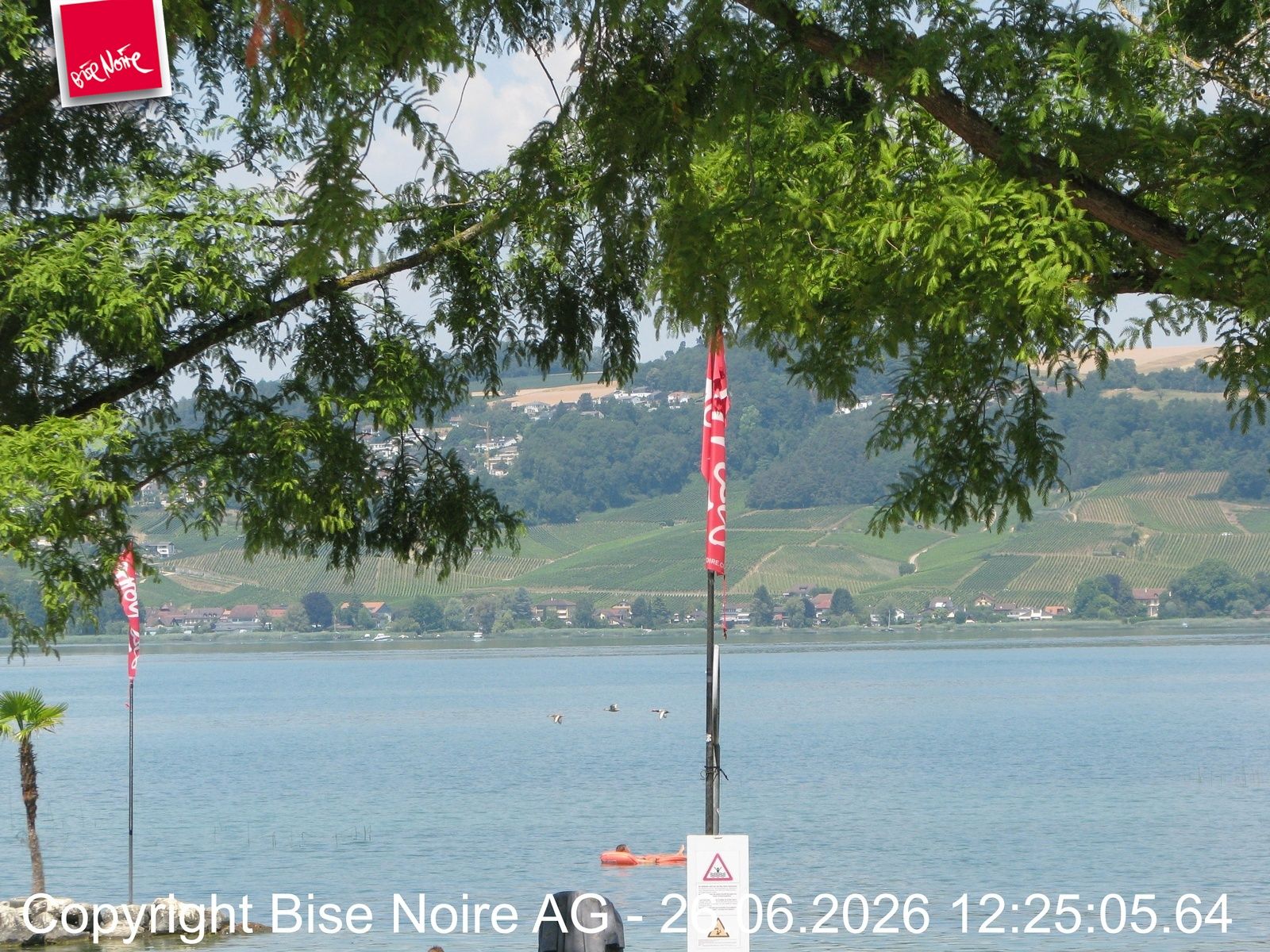 Murten: Lake Murten