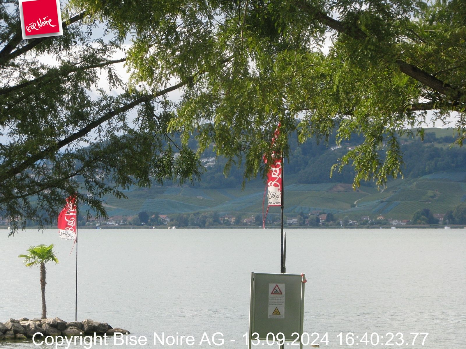 Murten: Lake Murten