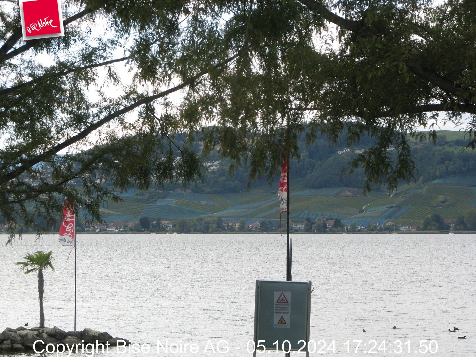 Murten: Lake Murten