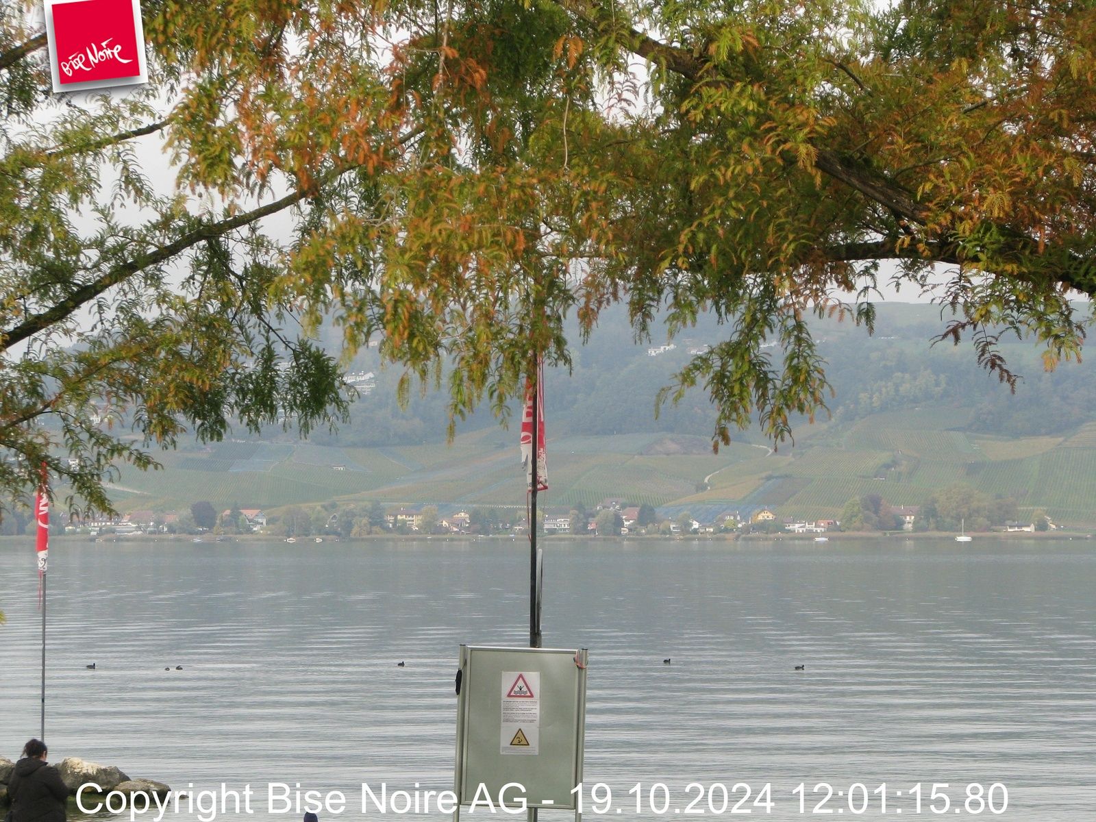 Murten: Lake Murten