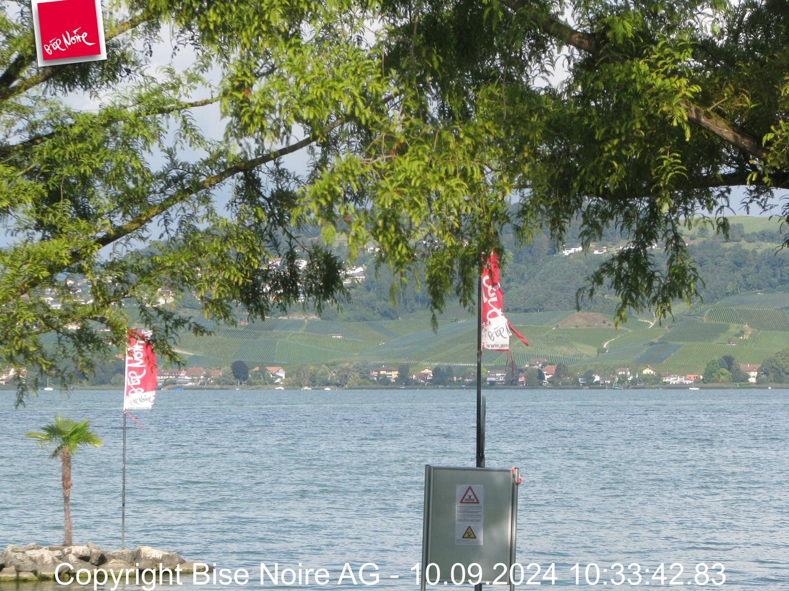 Murten: Lake Murten