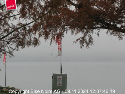 Murten: Lake Murten