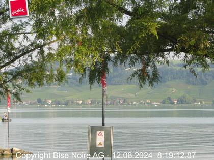 Murten: Lake Murten