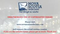 Halifax: Garrison Brewery and McNabs Island webccam - Current