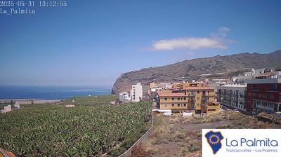 Tazacorte today