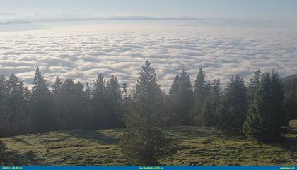 Saint-Cergue: Lake Geneva