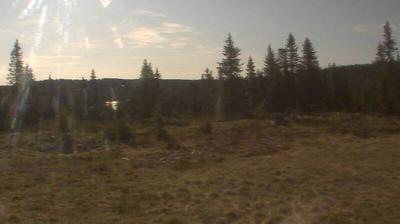 Holmsetra Landscape
