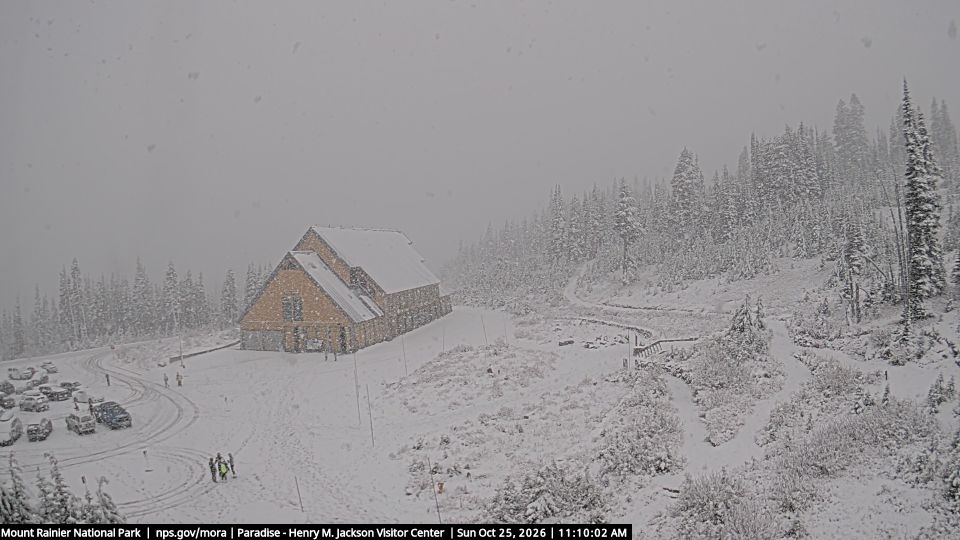 Mount Rainier webcam