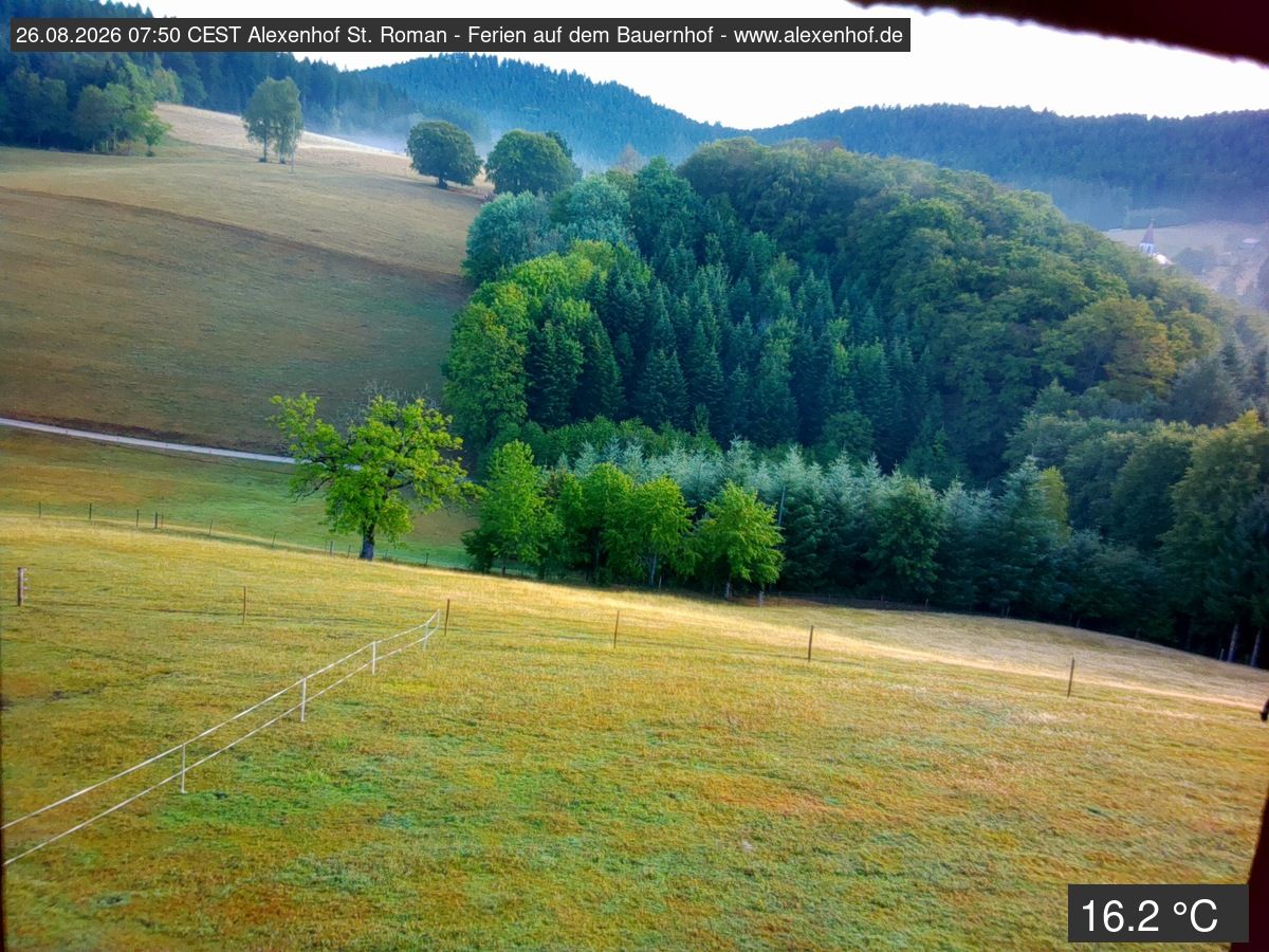 Traffic Cam Wolfach: Sankt Roman