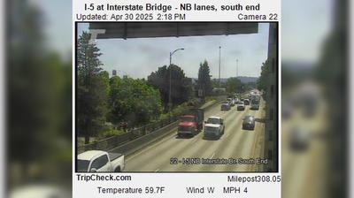 Interstate Bridge Landscape