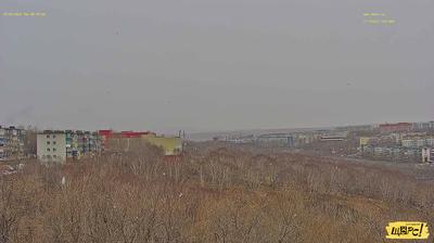 Gambar mini Webcam Petropavlovsk Kamchatsky pada 10:00, Jan 16