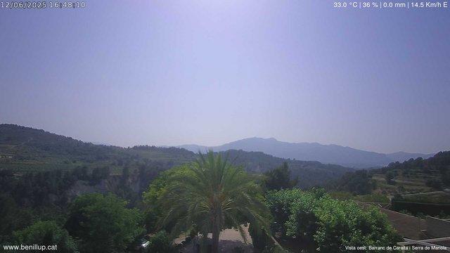 Southland Serenity: A Experience Webcam