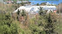 Melville Cove › North: Melville Heights - Day time