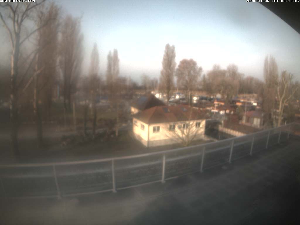 Thal: Restaurant Rheinspitz - Marina Rheinhof