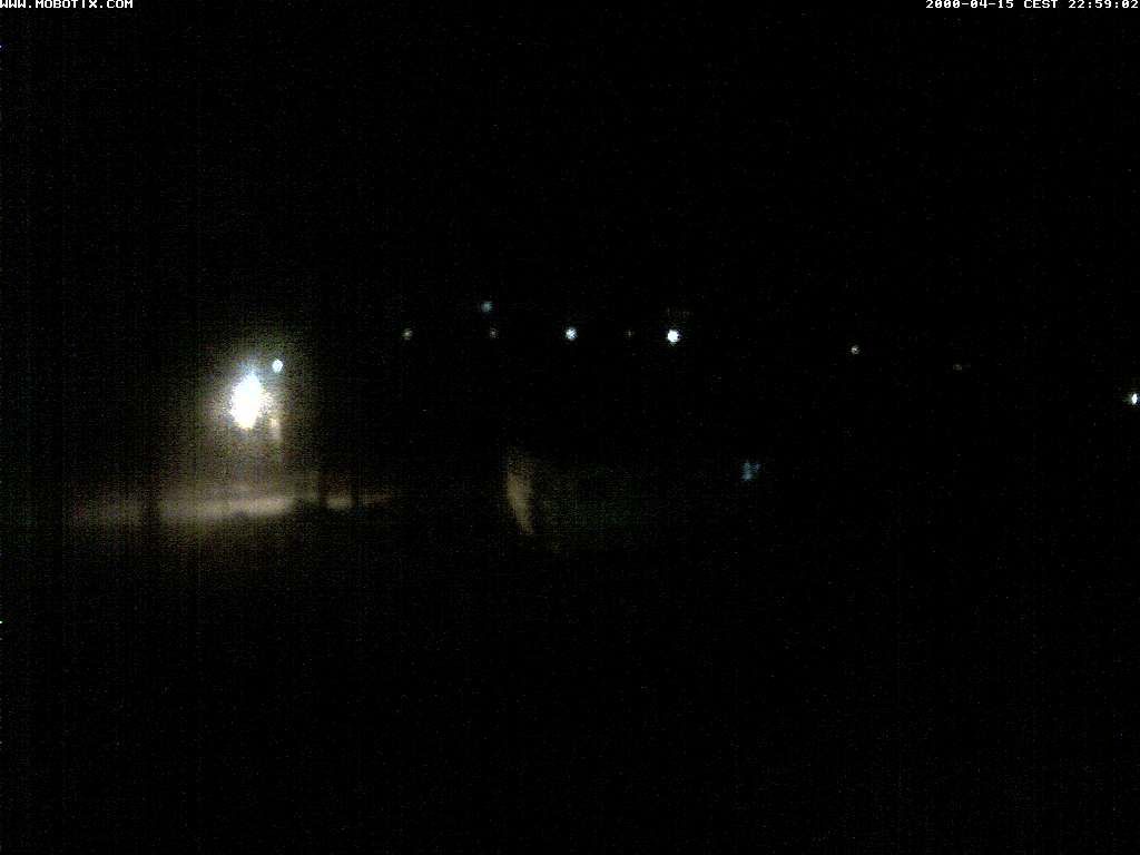 Thal: Restaurant Rheinspitz - Marina Rheinhof