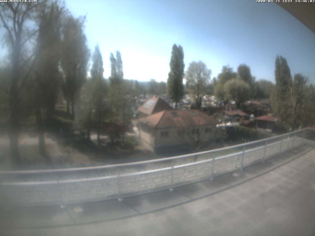 Thal: Restaurant Rheinspitz - Marina Rheinhof