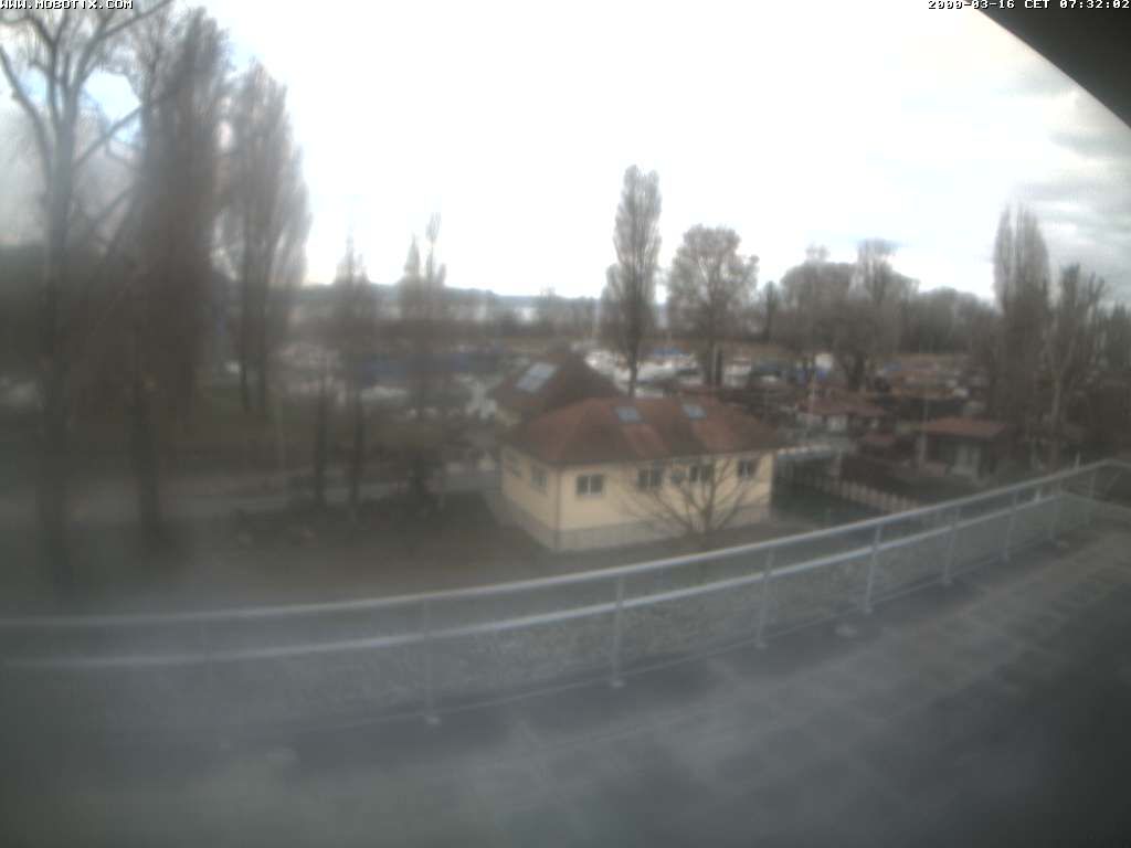 Thal: Restaurant Rheinspitz - Marina Rheinhof