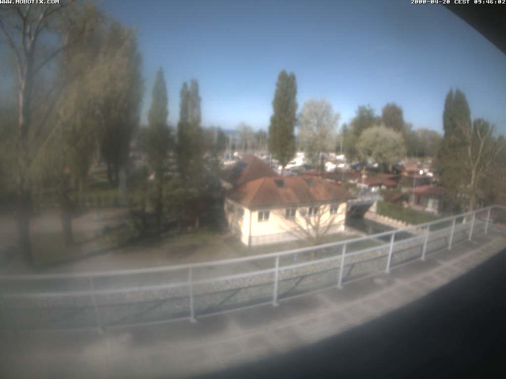 Thal: Restaurant Rheinspitz - Marina Rheinhof