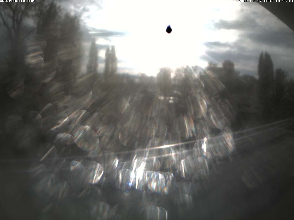 Thal: Restaurant Rheinspitz - Marina Rheinhof