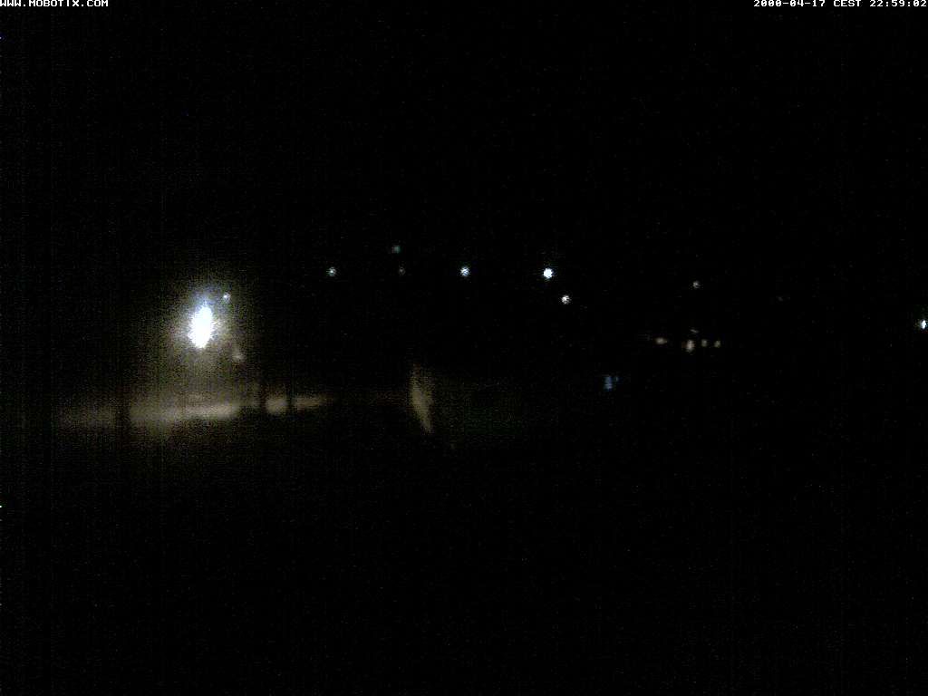 Thal: Restaurant Rheinspitz - Marina Rheinhof