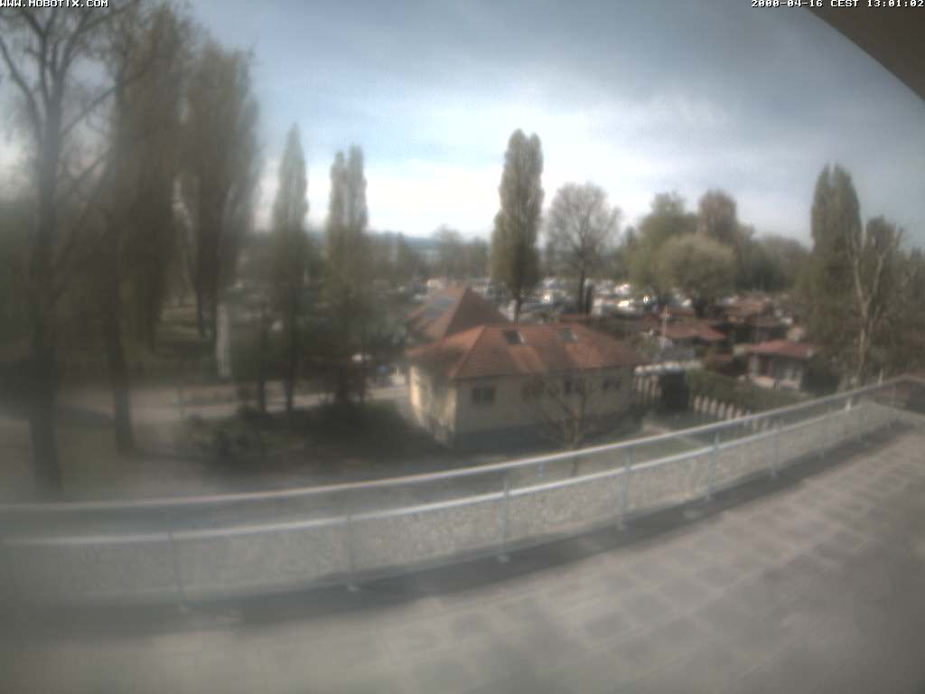 Thal: Restaurant Rheinspitz - Marina Rheinhof