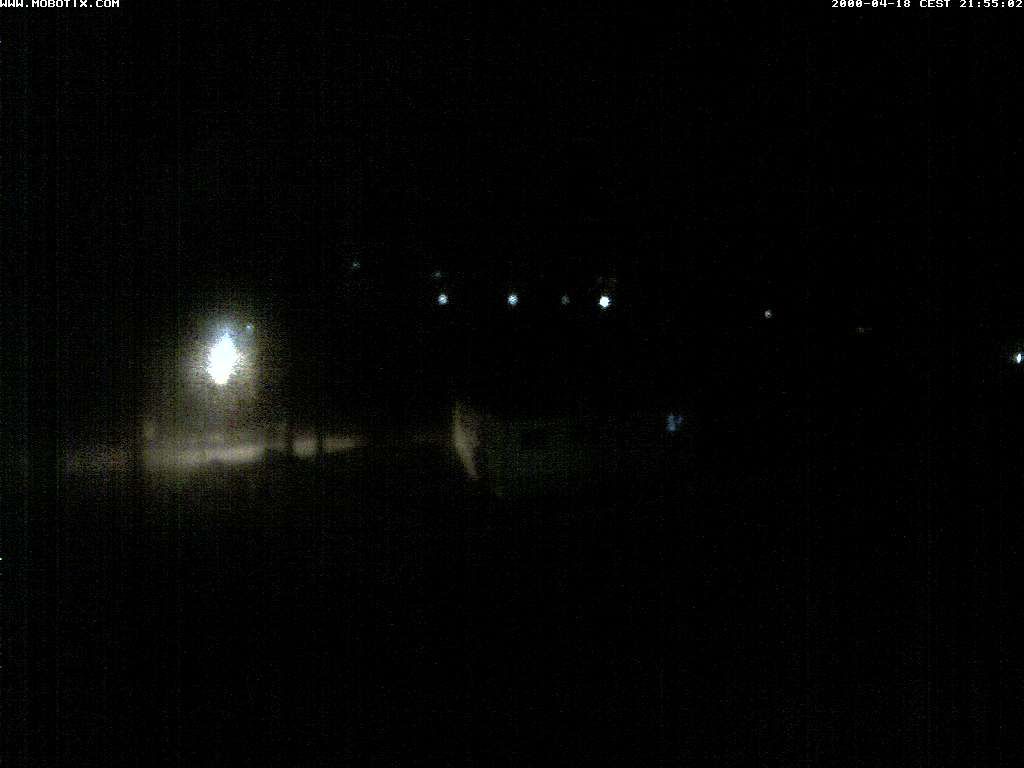 Thal: Restaurant Rheinspitz - Marina Rheinhof