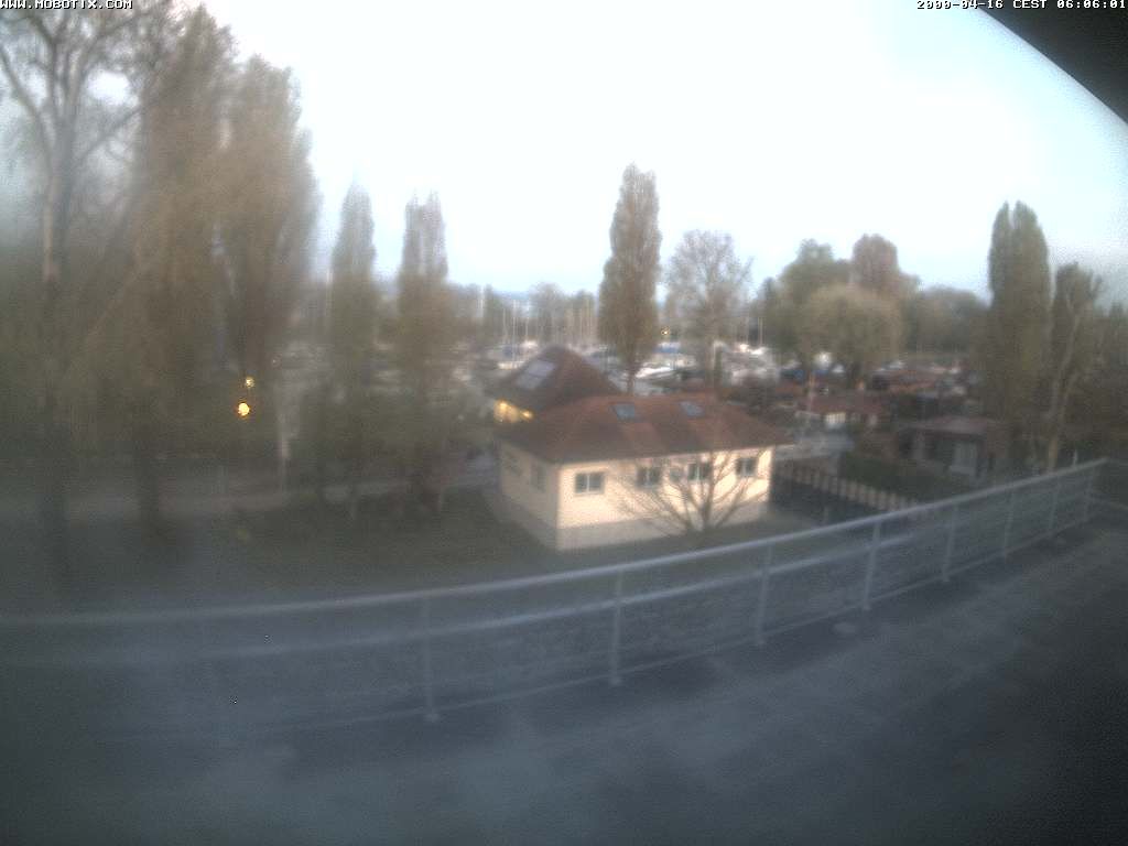 Thal: Restaurant Rheinspitz - Marina Rheinhof