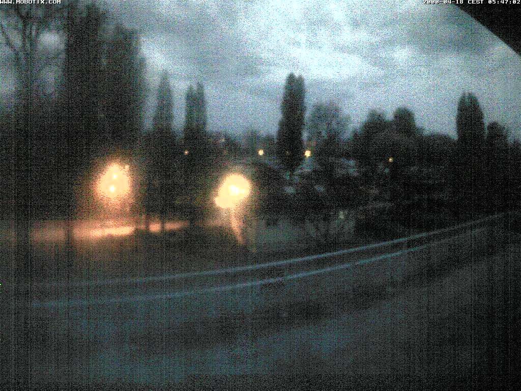 Thal: Restaurant Rheinspitz - Marina Rheinhof