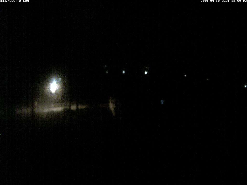 Thal: Restaurant Rheinspitz - Marina Rheinhof