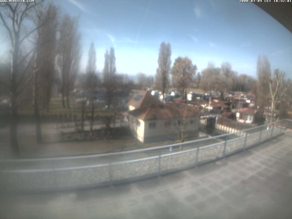 Thal: Restaurant Rheinspitz - Marina Rheinhof