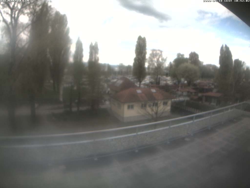 Thal: Restaurant Rheinspitz - Marina Rheinhof