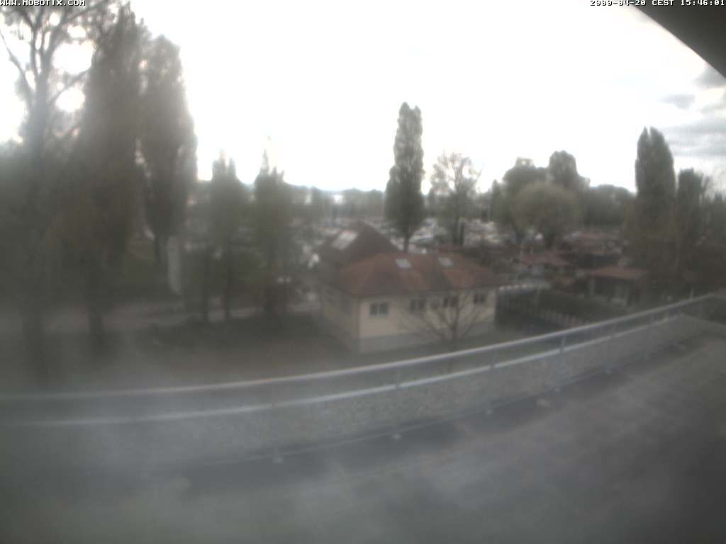 Thal: Restaurant Rheinspitz - Marina Rheinhof