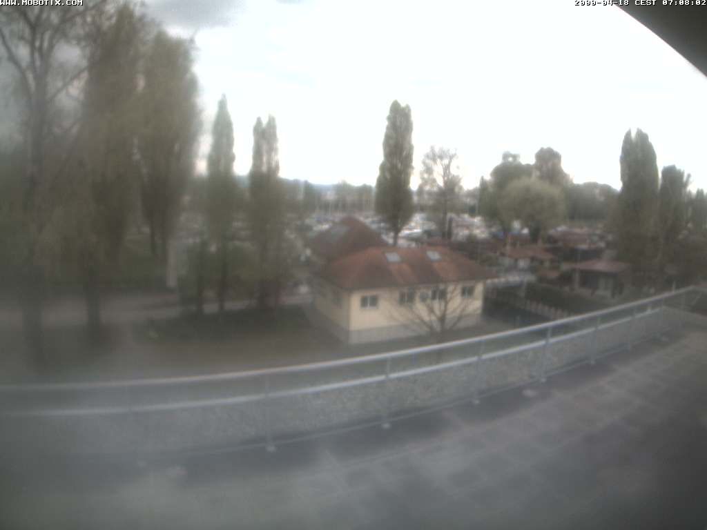 Thal: Restaurant Rheinspitz - Marina Rheinhof