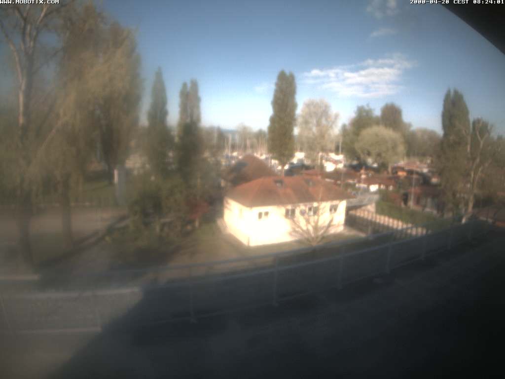 Thal: Restaurant Rheinspitz - Marina Rheinhof