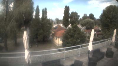 Thal harbor webcam