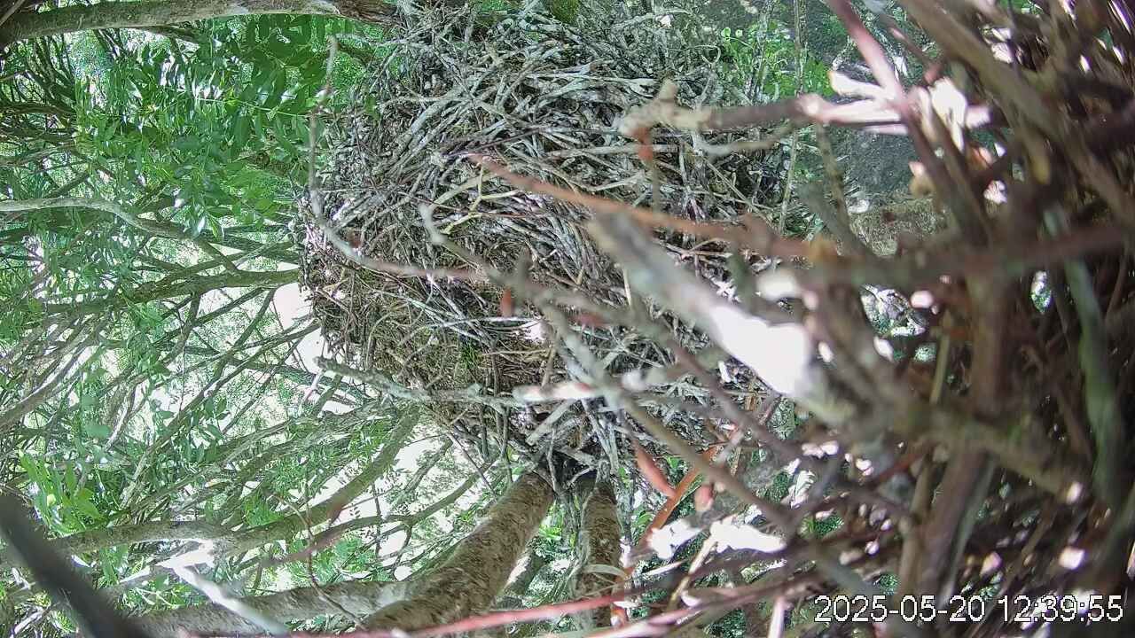 Addernhausen landscape Webcam