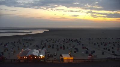 Borkum: Livespotting - Live vom Strand und der Seehundbank von