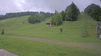 Oderen forest webcam