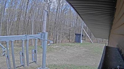 Bromont forest webcam