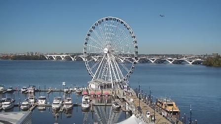 Alexandria webcam