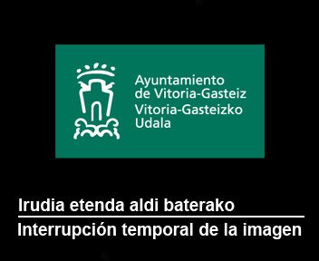Traffic Cam Vitoria-Gasteiz › North