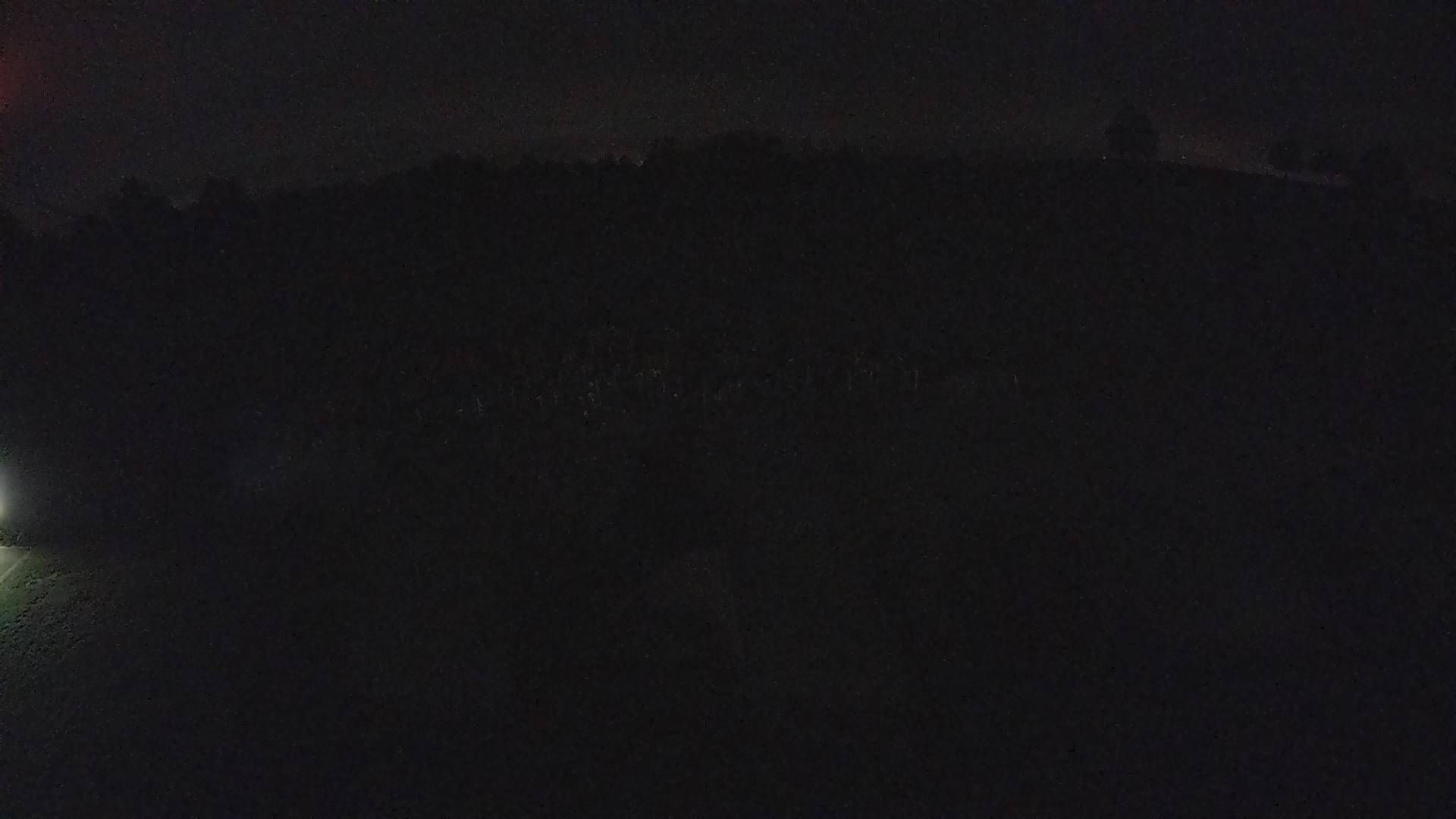 Wäldi › Süden