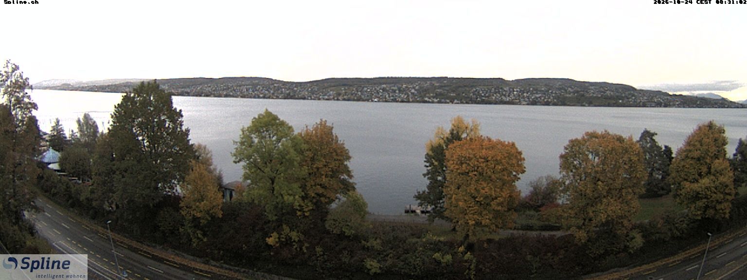 Thalwil: Panorama Webcam - Zürichsee