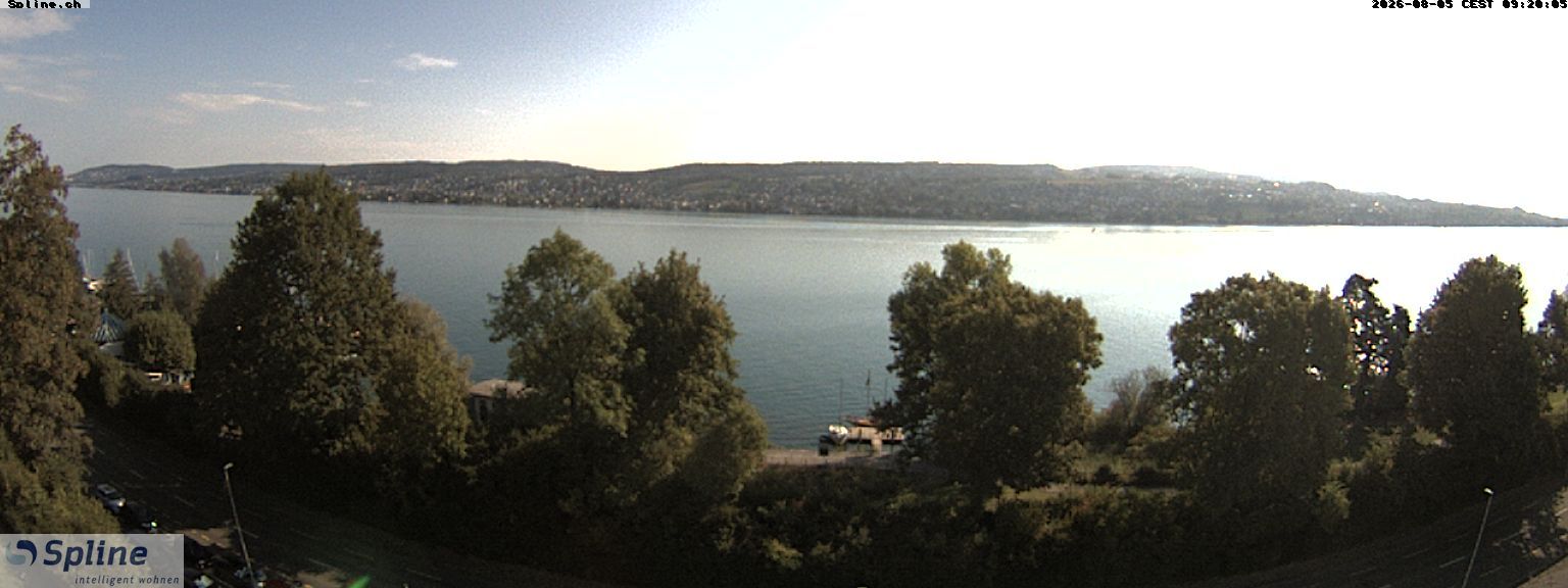 Thalwil: Panorama Webcam - Zürichsee